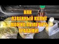 Язвенный колит можно вылечить травами за два месяца! Лечение травами. Траволечение.