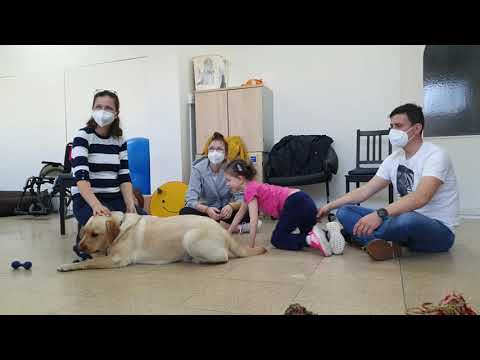 Video: Aké Kroky Majiteľa Psa Urazia