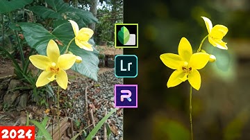 Blur Image Background 2024 FULL Tutorial | Mobile Editing | Lightroom Color Grading | PhotoRoom Edit