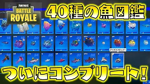 魚図鑑 Rar Mega