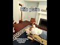 Rib adjustments can help with rib pain and can help improve mobility.