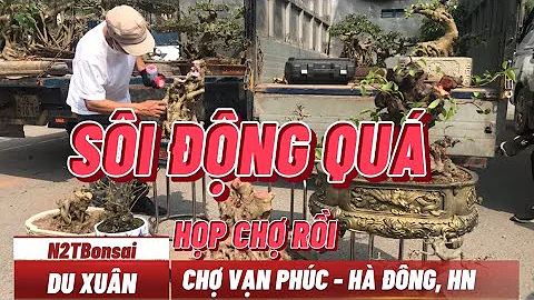 NHIỀU PHÔI RA CHỢ VẠN PHÚC QUÁ - BÁO GIÁ CHO CÁC BÁC THAM KHẢO