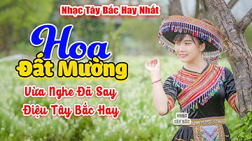 HOA ĐẤT MƯỜNG . LK Nhạc Tây Bắc Hay Nhất 2023, Nhạc Vùng Cao Tây Bắc | Câu Hát Hay Say Cả Núi Rừng