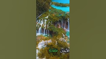 سورة المائدة و،.كا.نك تسمعها لأ،؛و.ل مر.ة💘❤️؛،🌸،،🏵️🌻🌼💚بصوت الشيخ حمزة مد؛بو.ح 💮💛🌸؛،💝💙💐..💔