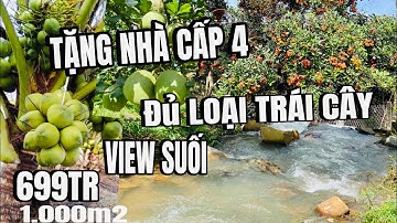 Chú quan tuổi cao sức yếu, đành bán vườn trái cây tâm huyết, suối nước quanh năm, bl long khánh