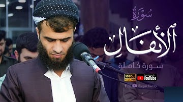 سورة الأنفال رزكار محمد الكردي