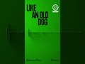 « Like An Old Dog » (Maceo Plex Rmx) #shorts