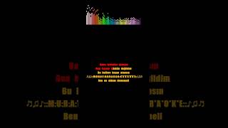 Ben Her Gece Sarhoş Değildim Karaoke (Cover) Sol Diyez Karar Resimi