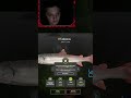 таймень ) #русскаярыбалка4 #fishing #рыбалканафидер #рыбалка #twitch