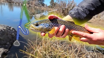 How to Catch Trout with a Drop Shot - Palomar vs Dropper Loop - Knot SHOWDOWN!
