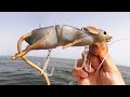 HUGE RAT LURE vs MONSTER FISH!!