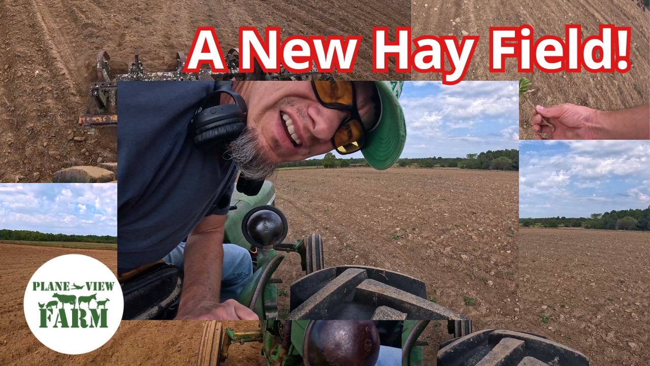 Подготовка к засеву сена — буря перед затишьем!