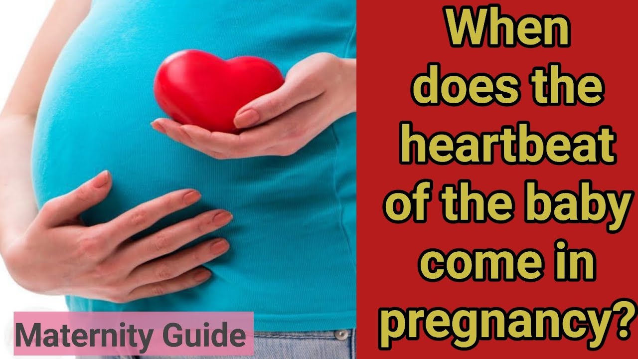 When does the heartbeat of the baby come in pregnancy #viral #trending ...