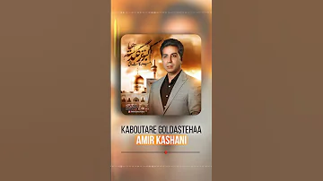 کبوتر گلدسته ها شعر نوید اسماعیل زاده اهنگ ساز مسعود تدینی باصدای امیر کاشانی 
