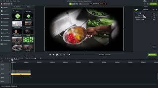 041  Visual Effects  Vignette in camtasia