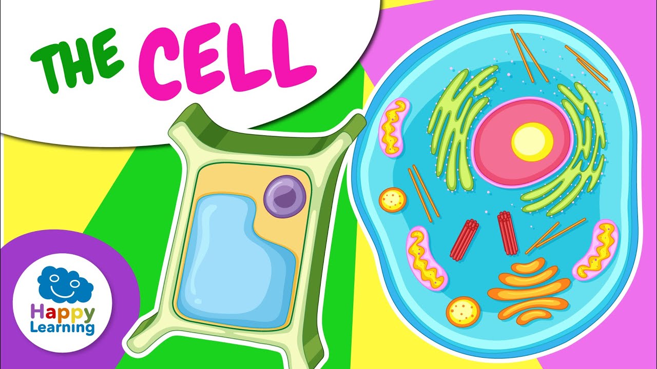 🔬🧬 THE CELL | Educational Videos for Children @HappyLearningENG