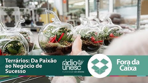 Como Transformar Plantas em Negócio: O Sucesso dos Terrários Artesanais | Fora da Caixa