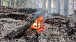 Clay, Putnam wildfires merge into ‘unpredictable’ 3K-acre Railroad Fire
