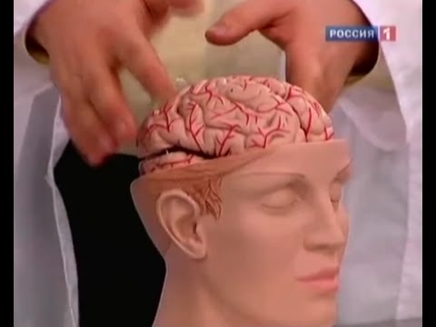 Инсульт - симптомы и причины, способы лечения. Первая помощь при инсульте