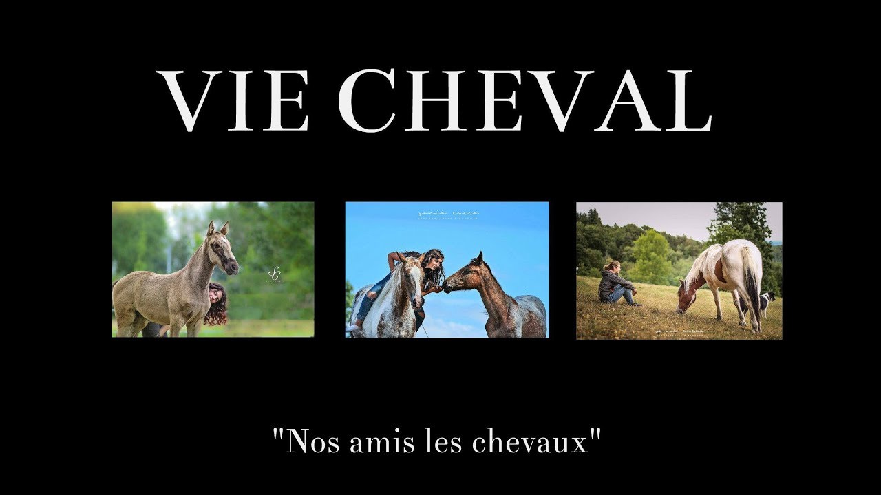 VIE CHEVAL - (Documentaire animalier) - YouTube