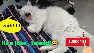 Ouch!!! Its a Joke by Talandi| Pipays Choice