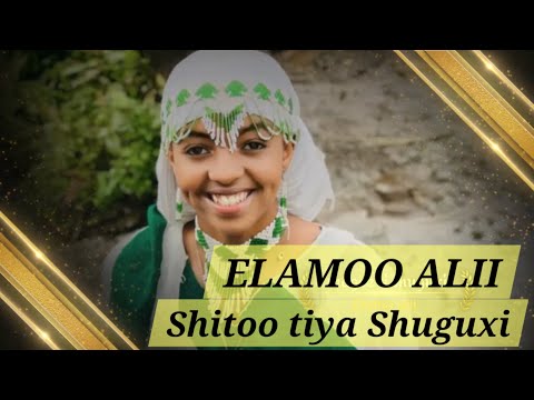 ELAMO ALII SHITOO TIYA SHUGUXI ANSIF DHAMALA OFFICIAL STUDIO 2025