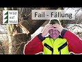 🌲Fällung geht schief - Eschenfällung mit Husqvarna 550er XPG