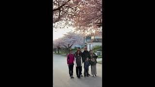 Весна прийшла до Ванкувера , відео для відпочинку !!!! 🇺🇦Микола з Канади