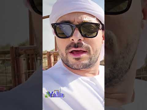 أكثر من 100 اسم لمخلوق واحد اكتشف أسرار الج مال وعلاقتها العميقة بالثقافة العربية