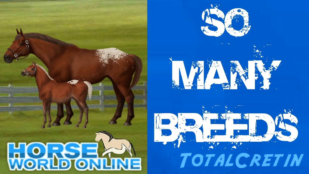 Horse world online.com Horse world online.com