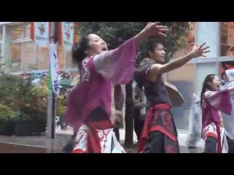 覇瞳海　 第12回四日市よさこい祭りやったろ舞