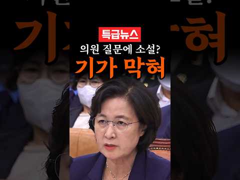 '사과할 생각 없습니다!' 2020년 소설 쓰시네 한마디로 법사위 뒤집은 추미애 thumbnail