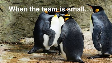 SATURN 2016 Talk: Can