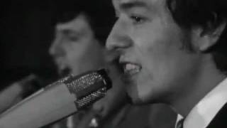 Video thumbnail of "I'm Alive - The Hollies"
