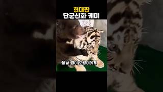 곰과 호랑이가 한 집에 살면 생기는 일