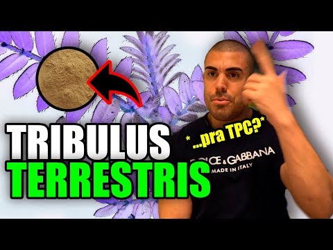 Vídeo: O que tribulus faz?