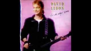 Video thumbnail of "David Lebon   Puedo sentirlo"