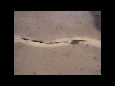 Video: Riesci a riparare crepe nel cemento?