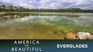 Everglades - A River Of Grass