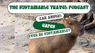 The Sustainable Travel Pod Episode 48 Can animal cafes ever be ethical? With Curiosity Saves Travel