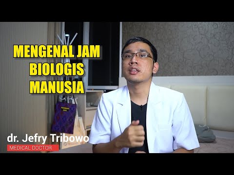 Video: Jam Biologi Boleh Disesuaikan - Pandangan Alternatif