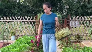 一年中最热的时候，看看还剩下哪些菜#种菜#我的小菜园 #自己种的纯天然的绿色蔬菜 #新鲜采摘#田园生活 DOU@旧朝秘事