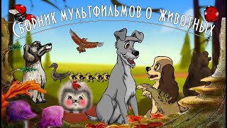 Сборник познавательных Мультфильмов 🐶 О животных 🐈