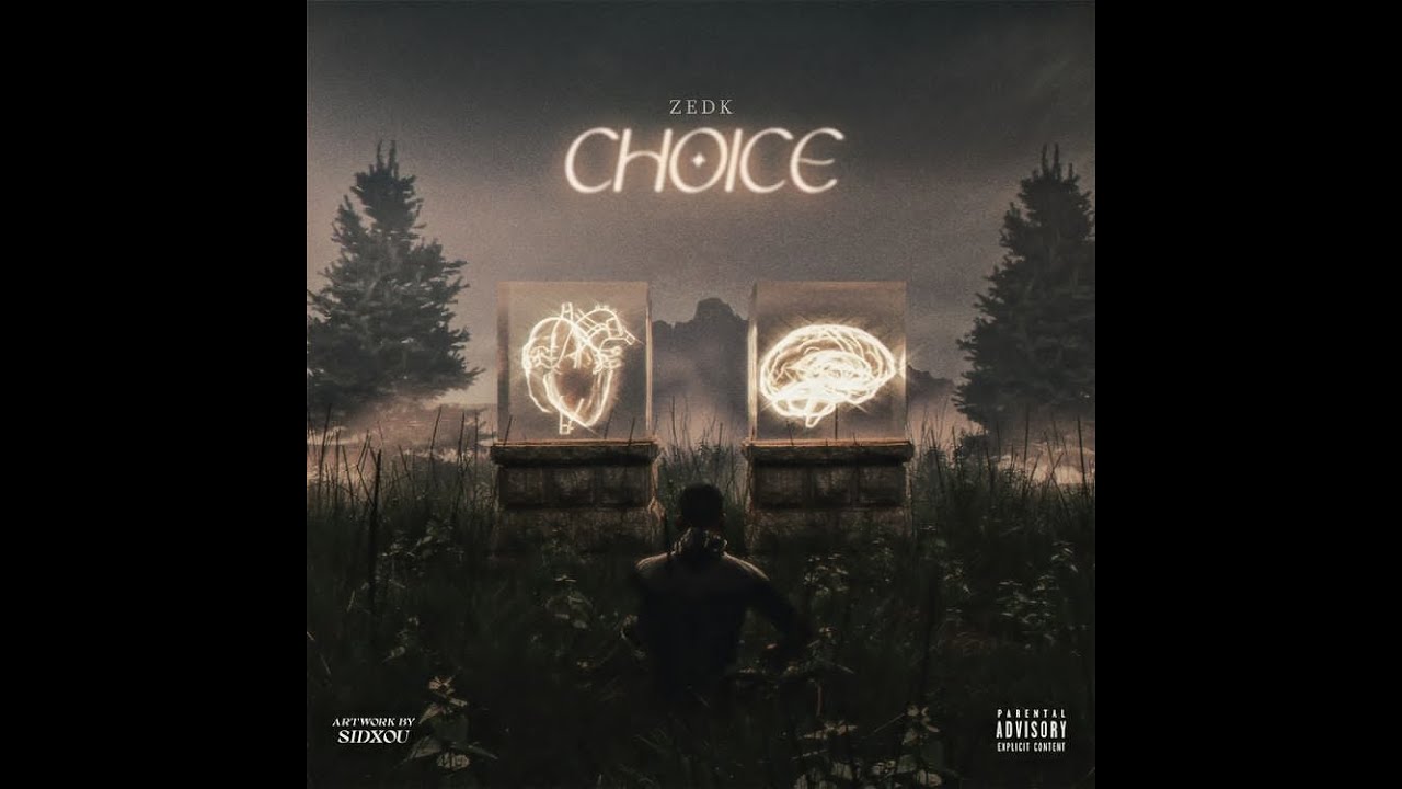 Zedk - Choice [OLD VERSION]