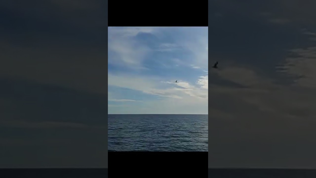 Estrecho de Magallanes, Punta Arenas, Chile #short