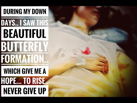 Butterfly#soft wings#butterfly formation#a hope to rise# NEVER GIVE UP#2 mins#