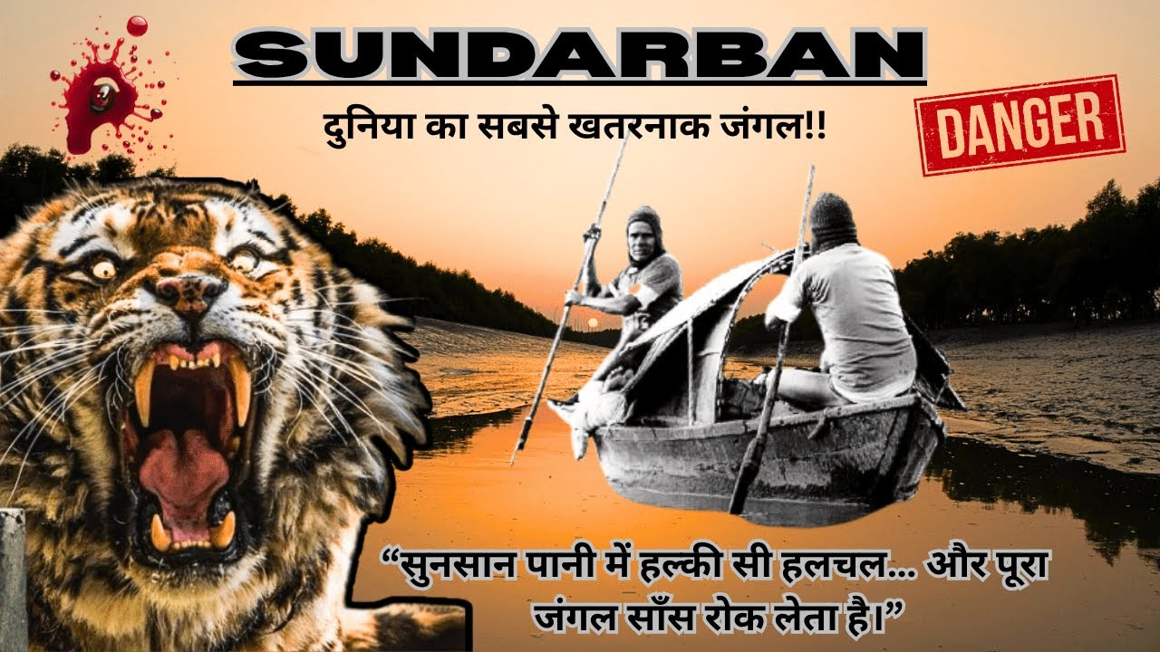 SUNDARBAN दुनिया का सबसे खतरनाक जंगल!! SUNDARBAN TIGER SAFARI 