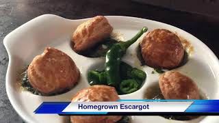 How to safely cook and eat garden snails aka escargot… 🐚 Delicious appetizer. Low fat healthy food.