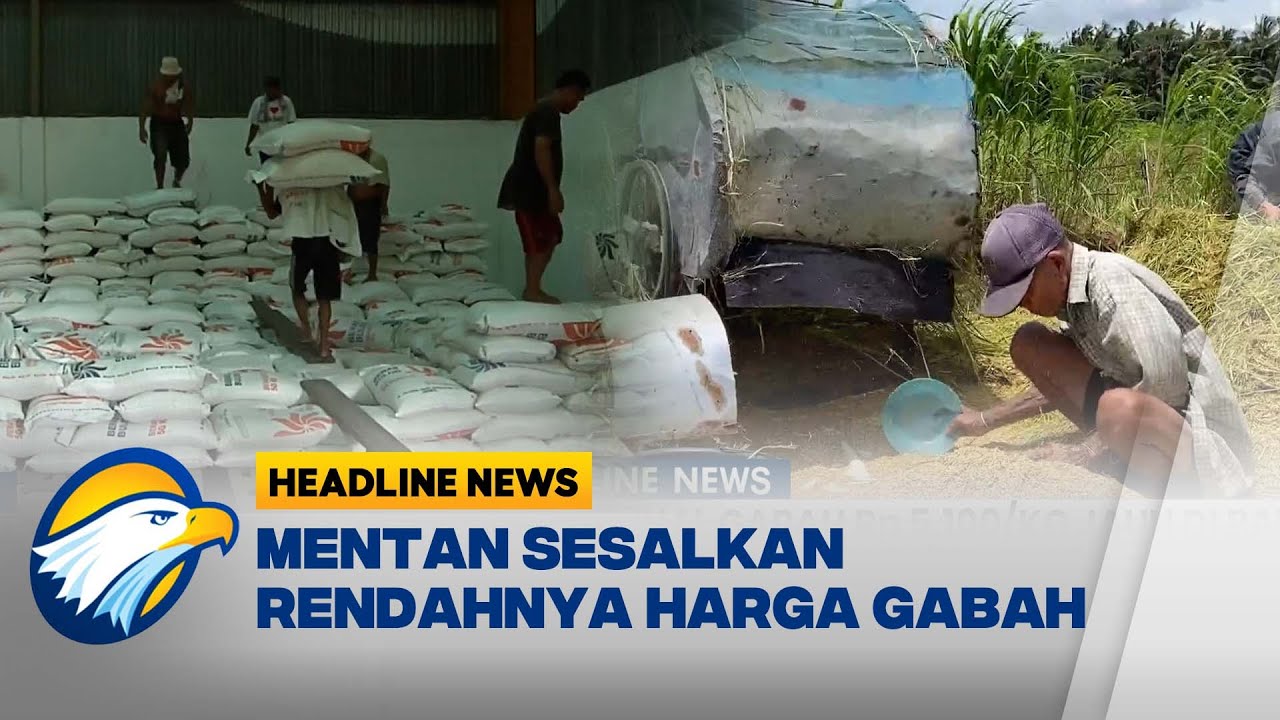 [HEADLINE NEWS, 22/01] Musim Panen Tiba, Harga Gabah Anjlok