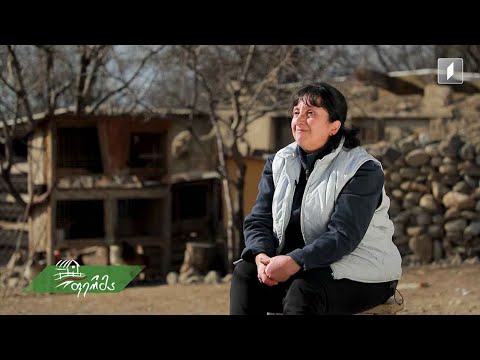 #ფერმა ქალაქიდან სოფელში გადასული ქალის მცირე საოჯახო მეურნეობა